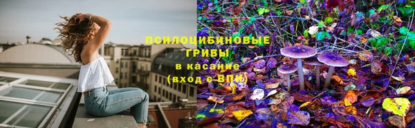 шишки Баксан