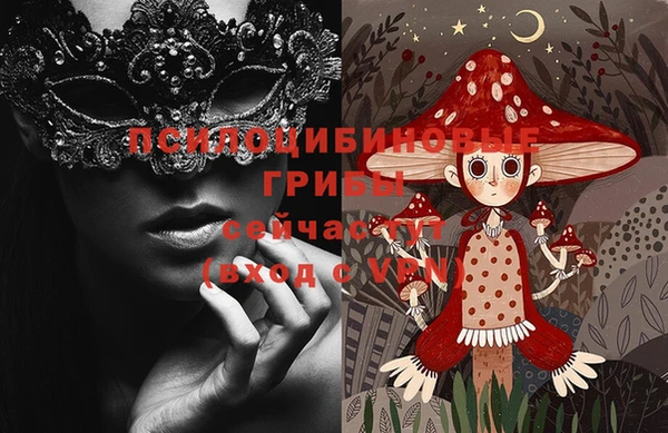 шишки Баксан