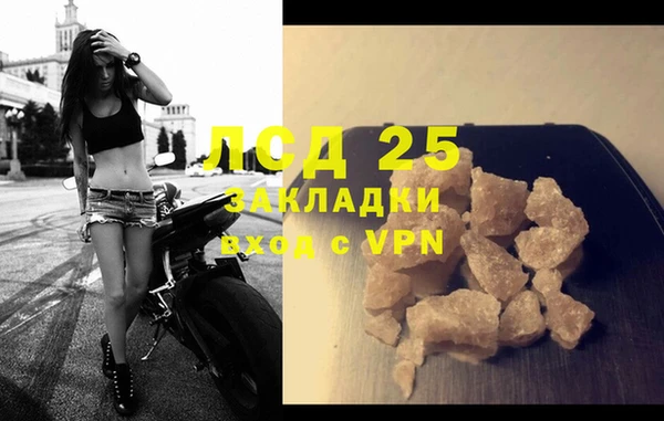 шишки Баксан