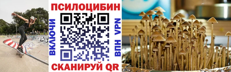 ссылка на мегу tor  Заозёрск  Псилоцибиновые грибы Magic Shrooms  цена  